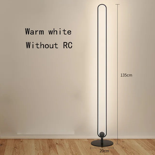 Modern RGB Remote Minimalist LED Floor Lamps Alexa Standing Lamp