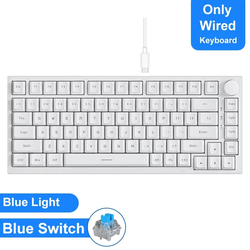 AJAZZ AK820 / AK820 Gaming Mechanical Keyboard 75%