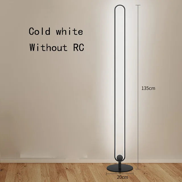 Modern RGB Remote Minimalist LED Floor Lamps Alexa Standing Lamp