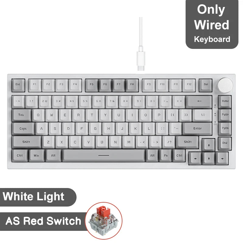 AJAZZ AK820 / AK820 Gaming Mechanical Keyboard 75%